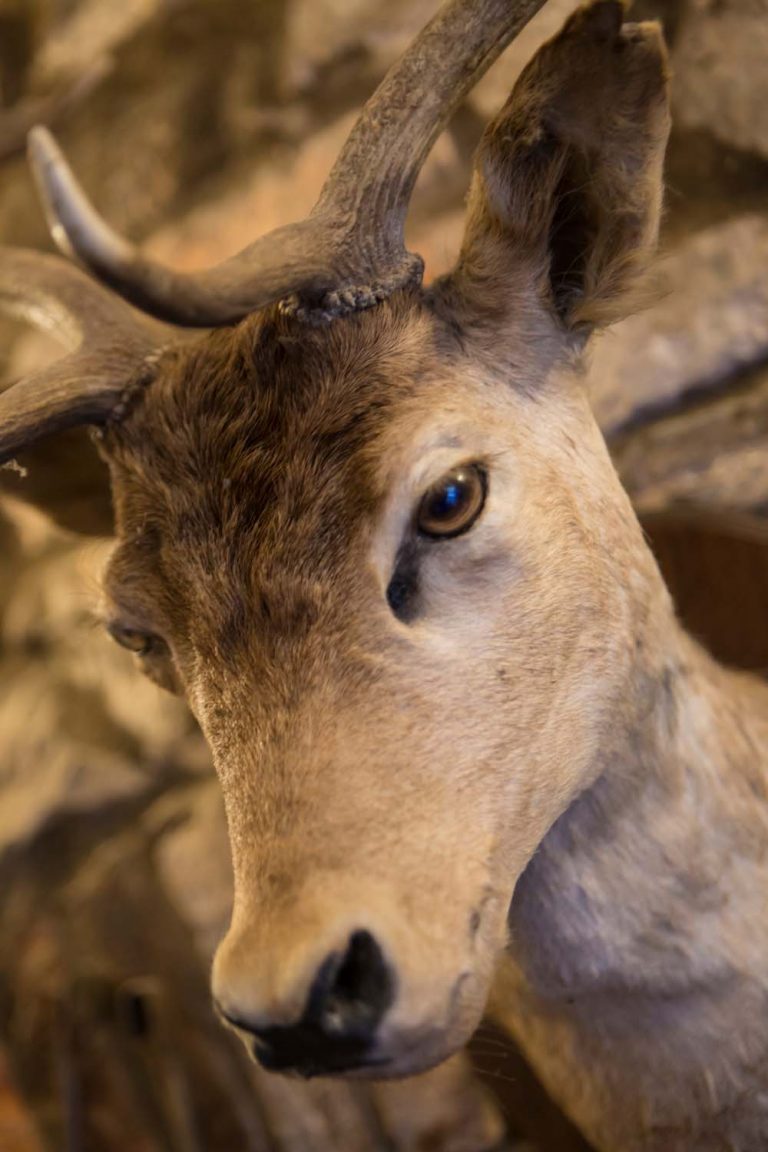 Pack Horse Inn, Ellingham Northumberland Gallery